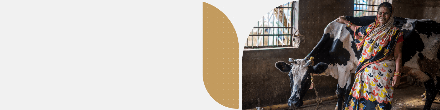 default banner