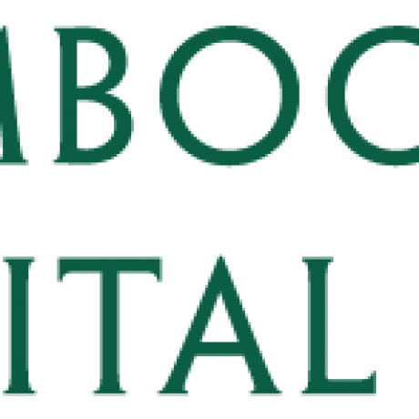 Bamboo Financial Inclusions Fund II